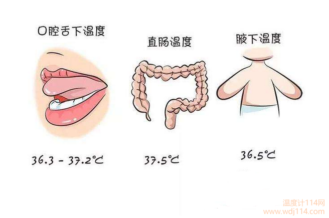 紅外線溫度計測哪較準(zhǔn)？